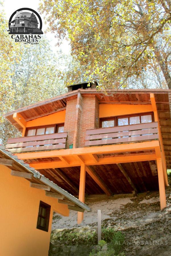 Cabanas Los Bosques Del Zembo Huasca de Ocampo Exterior foto
