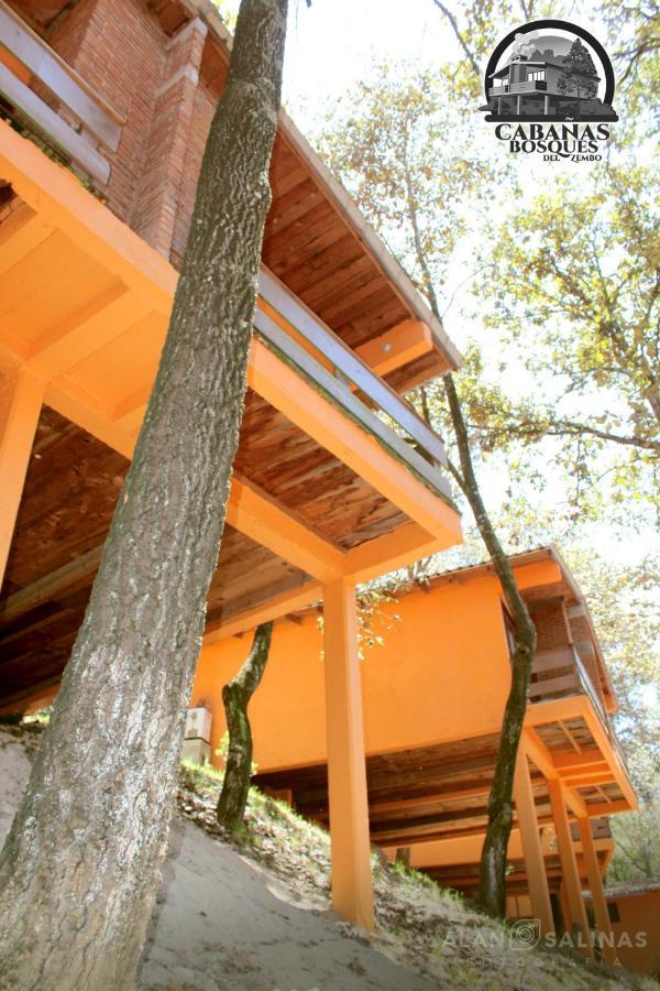 Cabanas Los Bosques Del Zembo Huasca de Ocampo Exterior foto