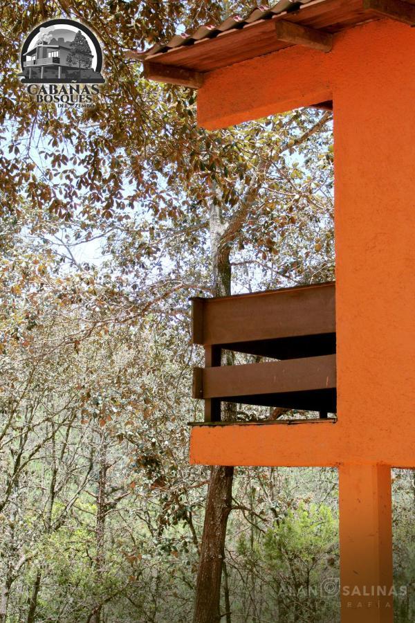 Cabanas Los Bosques Del Zembo Huasca de Ocampo Exterior foto