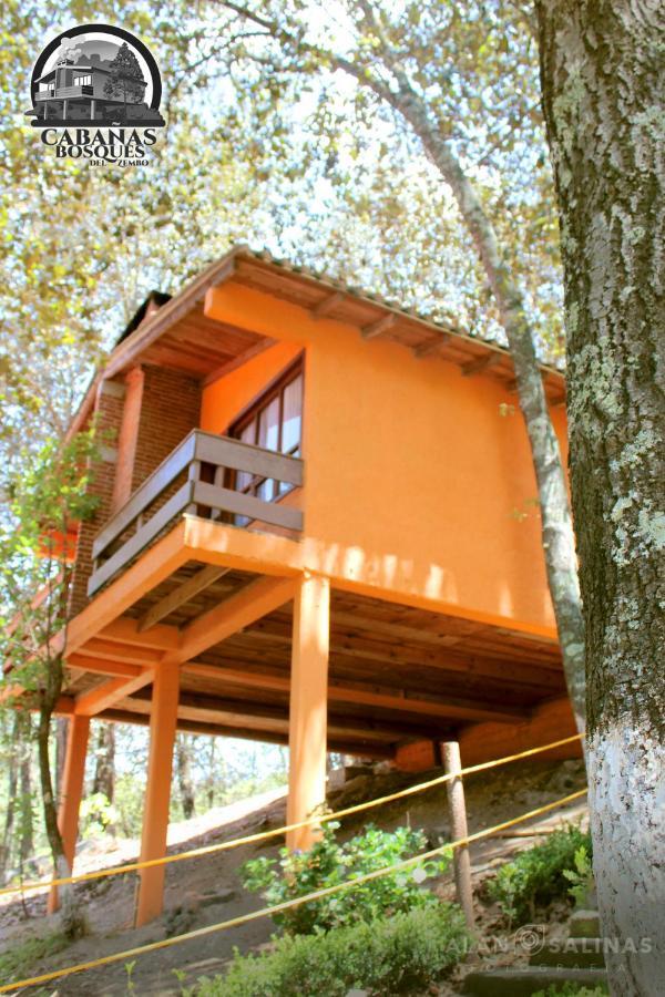 Cabanas Los Bosques Del Zembo Huasca de Ocampo Exterior foto